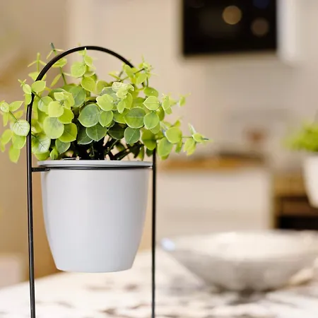 Casa Relax Apartamento